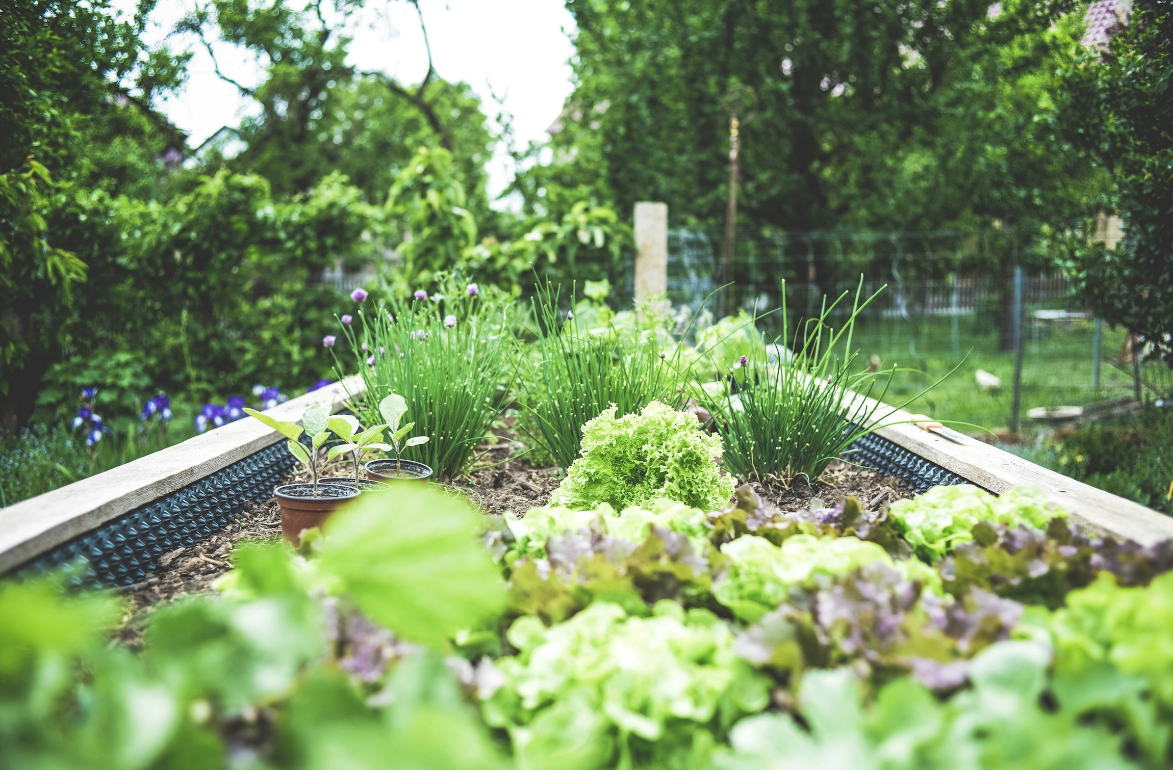 Small-Space Garden Design: Turning a City Balcony Into an Outdoor Room