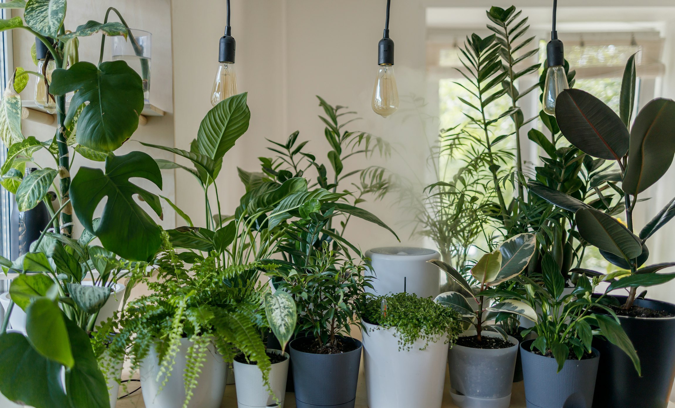 Soil Testing at Home: What the Numbers Actually Mean